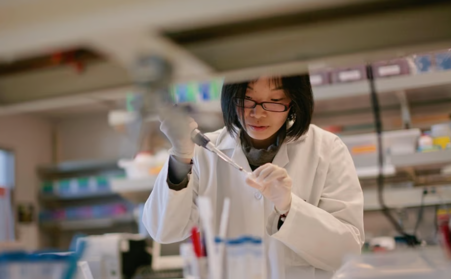 Exploring Regenerative Medicine: A Stem Cell Overview and Definition