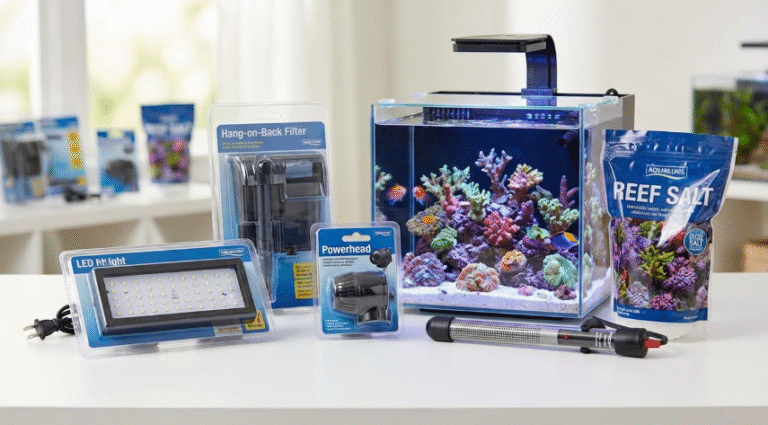 Budget for Summer Power Before You Build a Naples Reef Tank