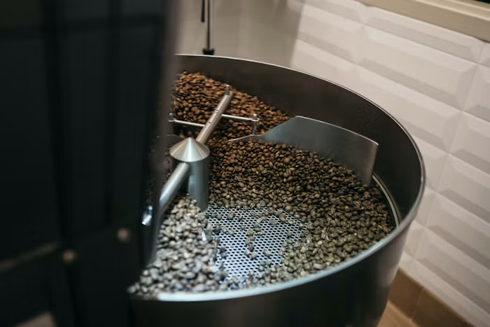 The Writer’s Ritual: The Hidden Science of Preserving the Perfect Cup of Coffee